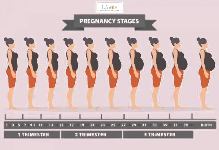 First Trimester (Weeks 1–12): Early Changes You Might Not Notice Essex
